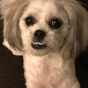 Meet your Posher, Ruby